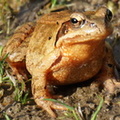 DSC08684